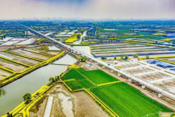 連淮揚鎮(zhèn)鐵路揚州段鋪軌全部結(jié)束